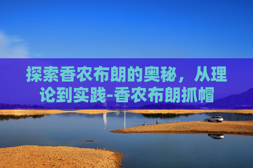 探索香农布朗的奥秘,从理论到实践-香农布朗抓帽 探索香农布朗的奥秘,从理论到实践-香农布朗抓帽